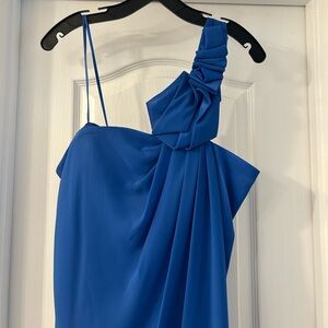 Max & Cleo Vibrant Blue Garment